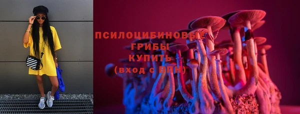 ПСИЛОЦИБИНОВЫЕ ГРИБЫ Пересвет