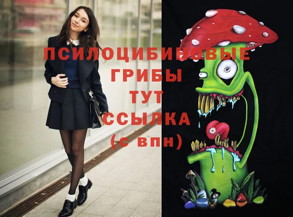 спайс Переславль-Залесский