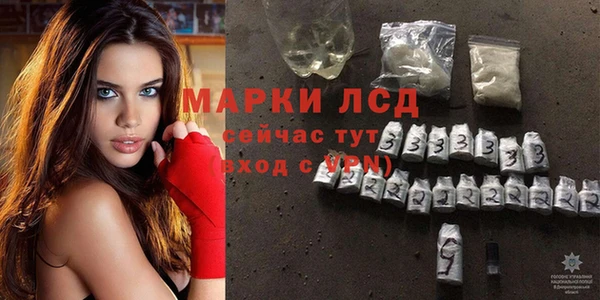 ПСИЛОЦИБИНОВЫЕ ГРИБЫ Пересвет