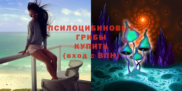 мяу мяу мука Покровск