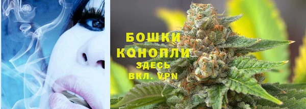 ПСИЛОЦИБИНОВЫЕ ГРИБЫ Пересвет
