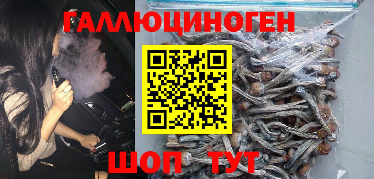 Галлюциногенные грибы Psilocybine cubensis Краснознаменск