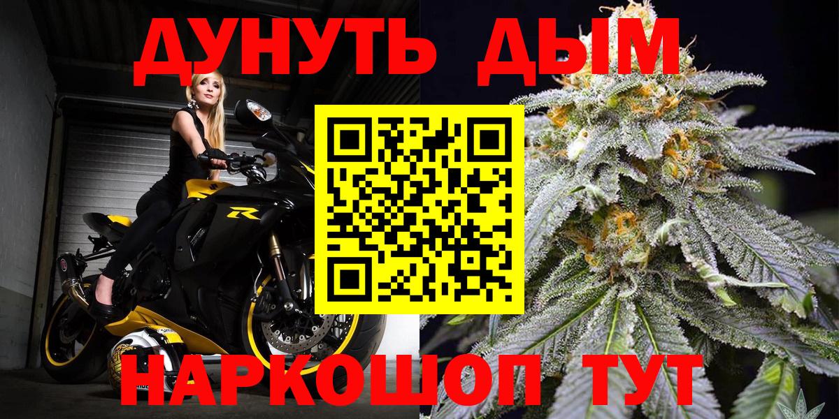 Конопля планчик Краснознаменск
